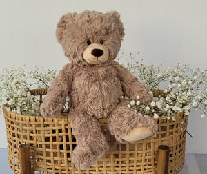 Billy the Bear Soft Toy